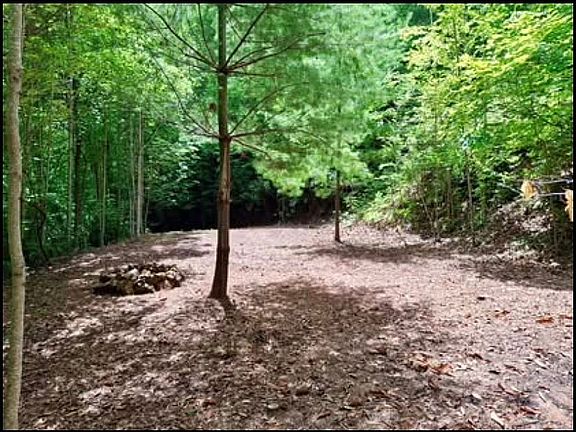 5th image of 0 Sometimes Creek Rd