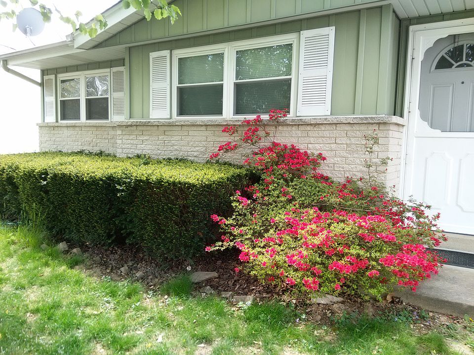 2nd image of 46 Youngridge Dr