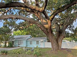 1009 1/2 Michigan Dr W, Dunedin, FL 34698