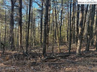 Lot #24 Eagles Nest Lane, Glade Valley, NC 28627