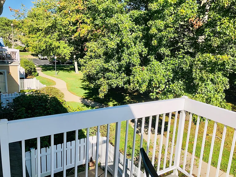 36 Deerberry Ln — Photo 20