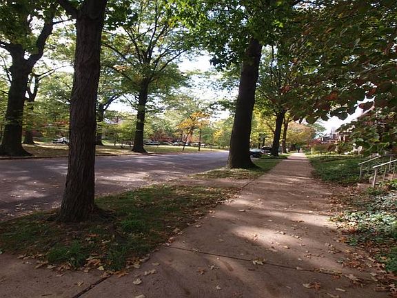 Wonderful Neighborhood