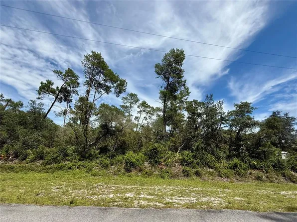 LOT 1 Dahlia St Lot 1, Eustis, FL 32736