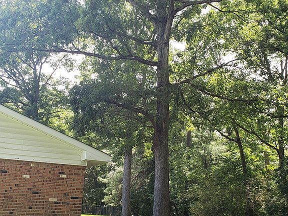 Shady back yard with multiple hardwood trees