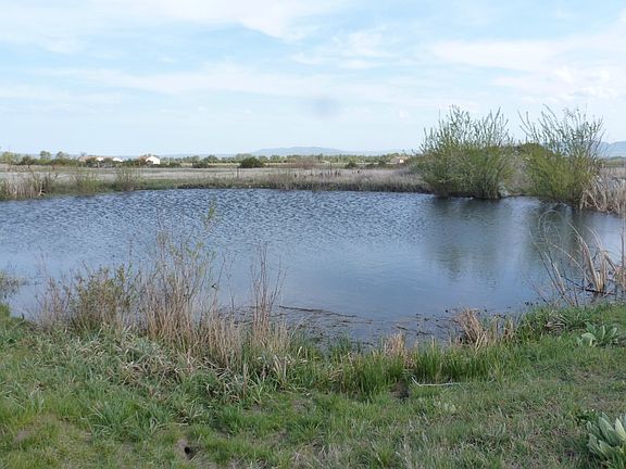 2nd image of 961 Lariat Ln