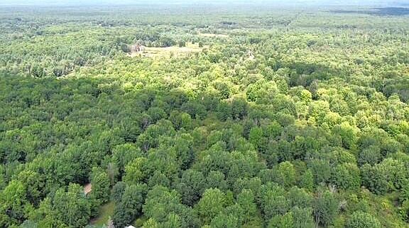 5th image of 9022 Caberfae Hwy