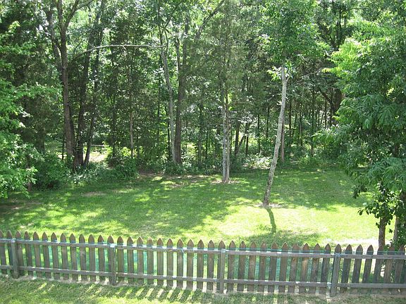Wooded Back Yard