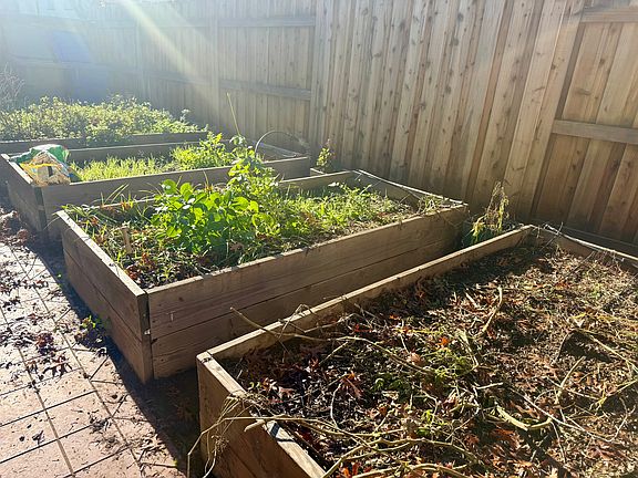 Garden beds are in full sun.