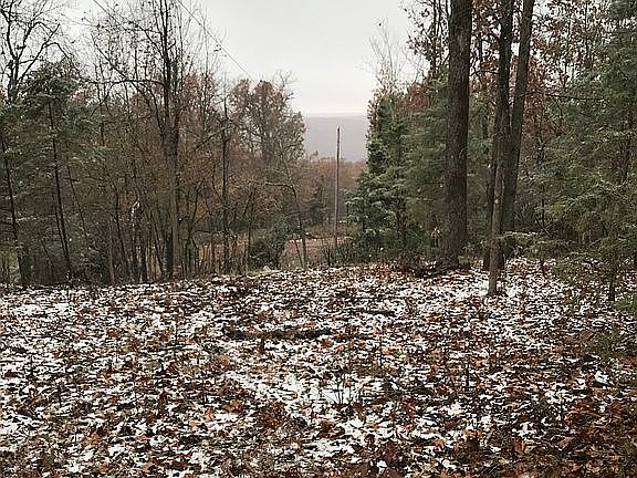 Powerline view looking out 