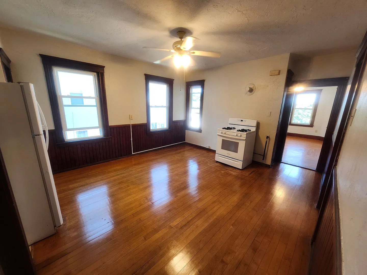 48 Everard — Photo 4