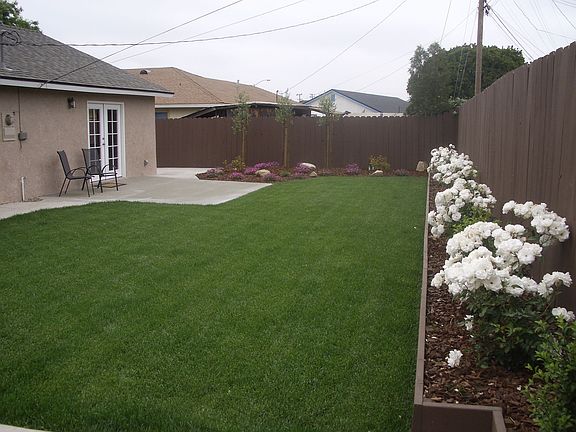 Large open backyard perfect for entertaining & kids