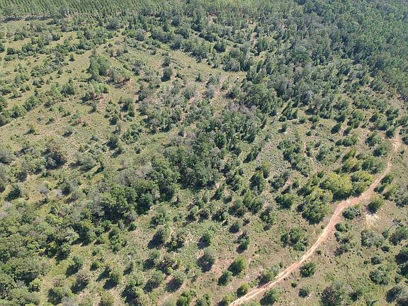3rd image of TRACT 4 Private Road 8385