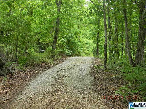 5th image of 1113 County Road 40 W