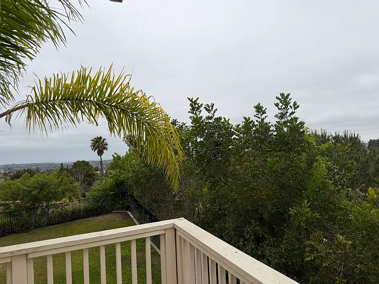 6833 Urubu St — Photo 31