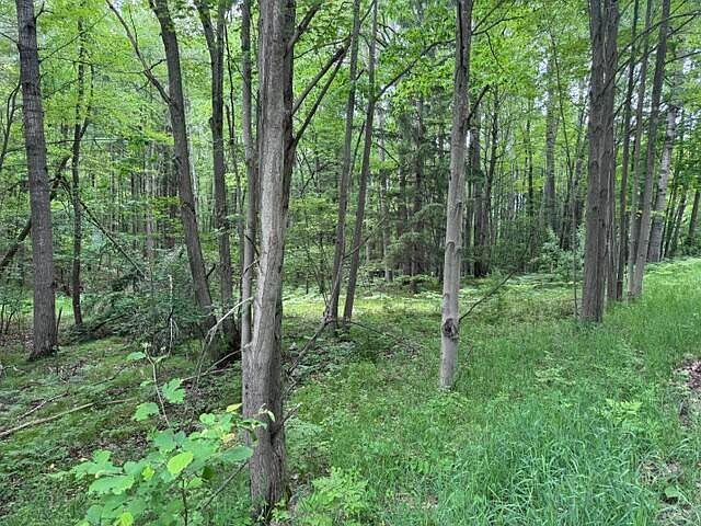 1st image of 142 Hills Cir
