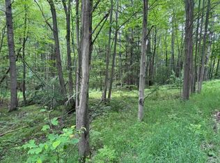 142 Hills Cir, Leroy, MI 49655