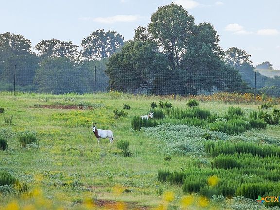 4th image of 2524 Sandy Fork Rd