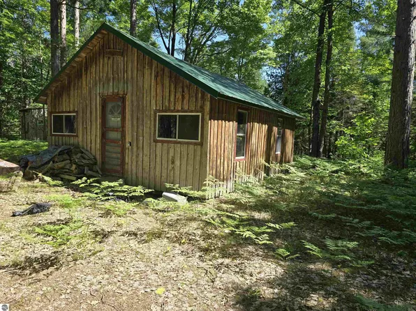 NULL-V/L Military Rd SE, Fife Lake, MI 49633