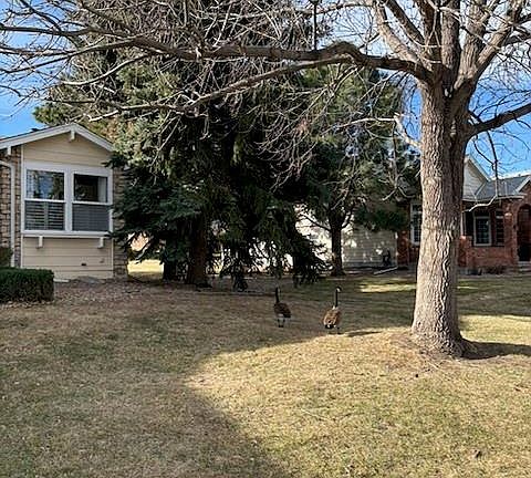 2nd image of 4 Shetland Court