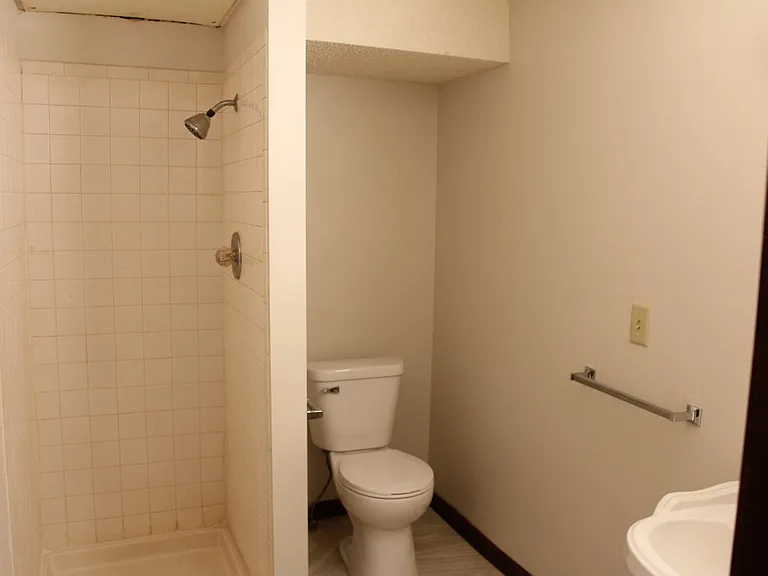 Downstairs bathroom has been updated with vinyl flooring.