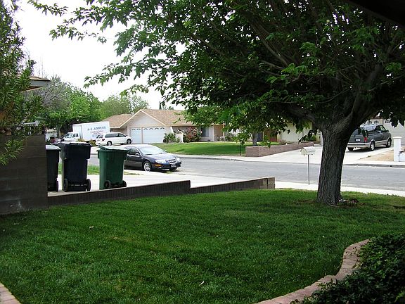 Front yard