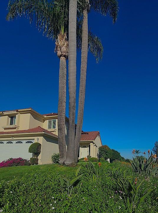 1st image of 804 Smoketree Ct