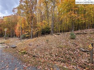 111 Jackpine Rd, Banner Elk, NC 28604