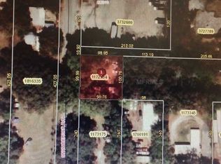 1116 Snowberger Ave, Leesburg, FL 34748