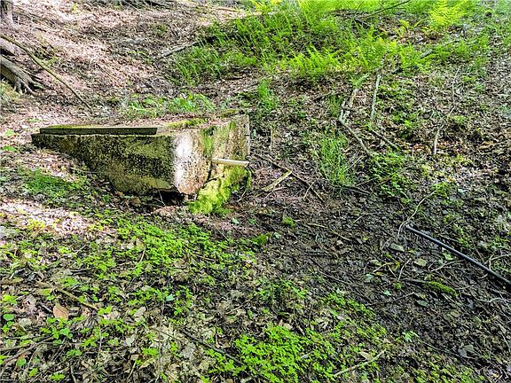 4th image of 0 Two Mile Rd Lot 3