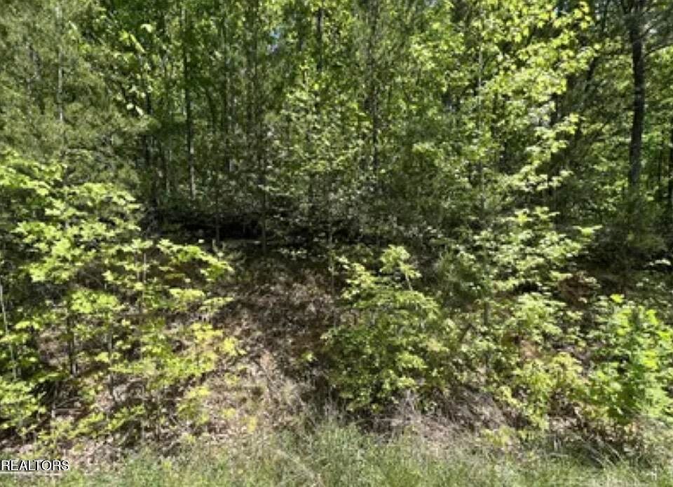 1st image of LOT 81 Yellowwood Dr