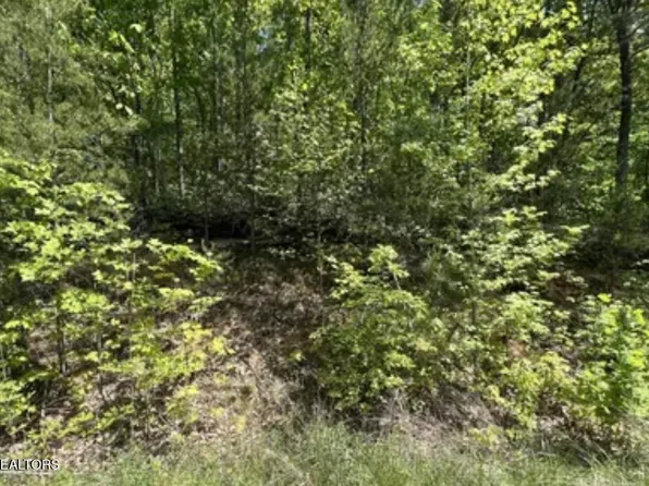 LOT 81 Yellowwood Dr, Sevierville, TN 37876