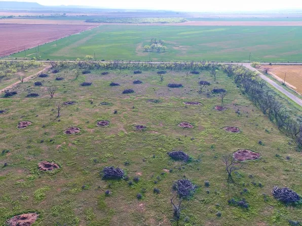 832 County Road 107, Trent, TX 79561