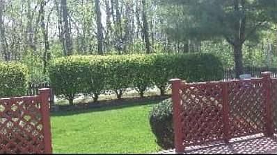 2nd image of 1510 Guildford Dr
