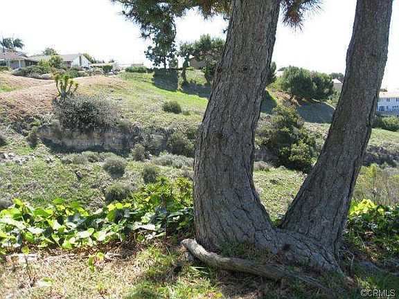 5th image of 6816 Abbottswood Dr