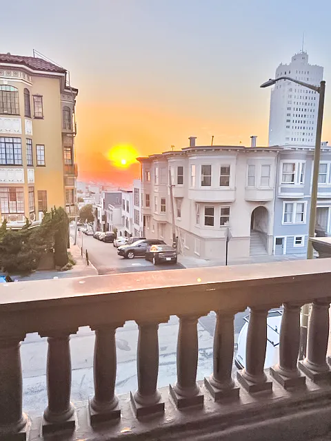 1 bed, 450 sqft, $3,595 — Photo 3