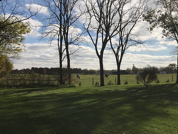 View of Backyard