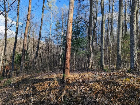 Shagbark Hickory Rdg, Sevierville, TN 37862