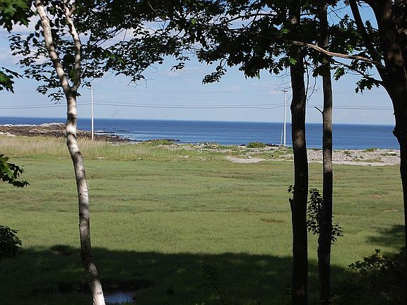 Views from every room