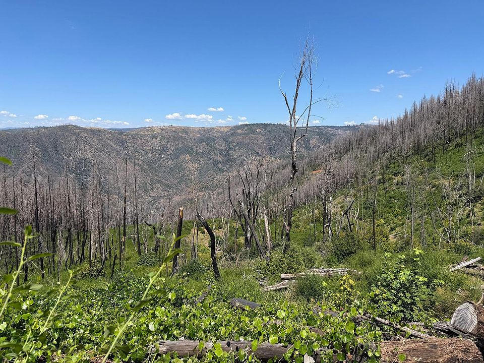 1st image of Rubicon Rd