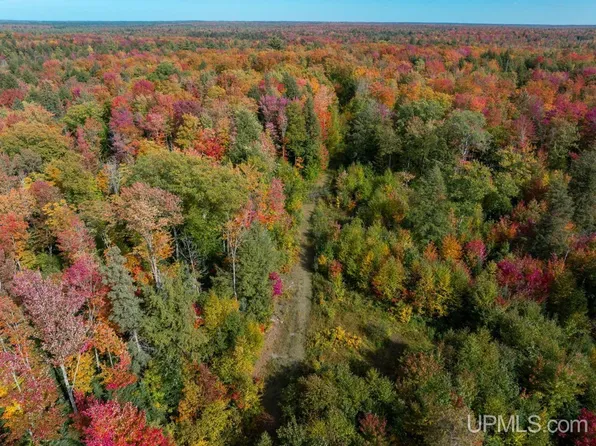 Us Highway 141, Covington, MI 49919