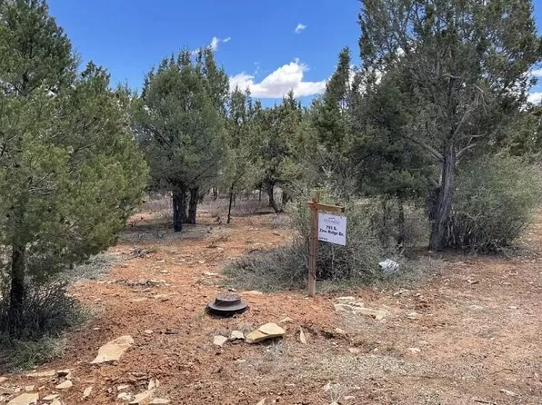793 S Zion Ridge Dr, Orderville, UT 84758