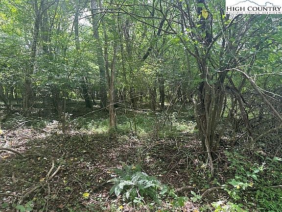 2nd image of Lot 41 Riverwind Drive