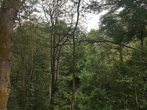 3rd image of 902 E Highland Dr