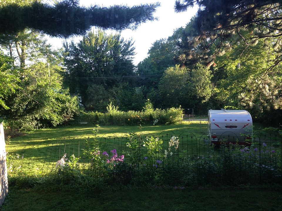 back yard