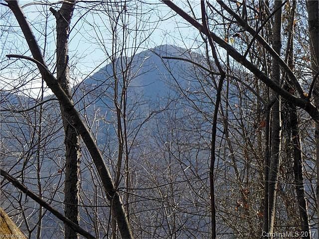 2nd image of Tbd Apgar Rd