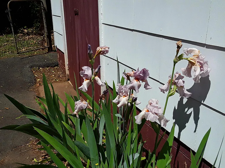 109 David Ter — Photo 45