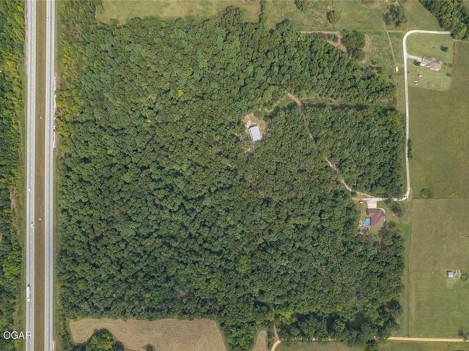 2nd image of 4 Lightning Bug Ln