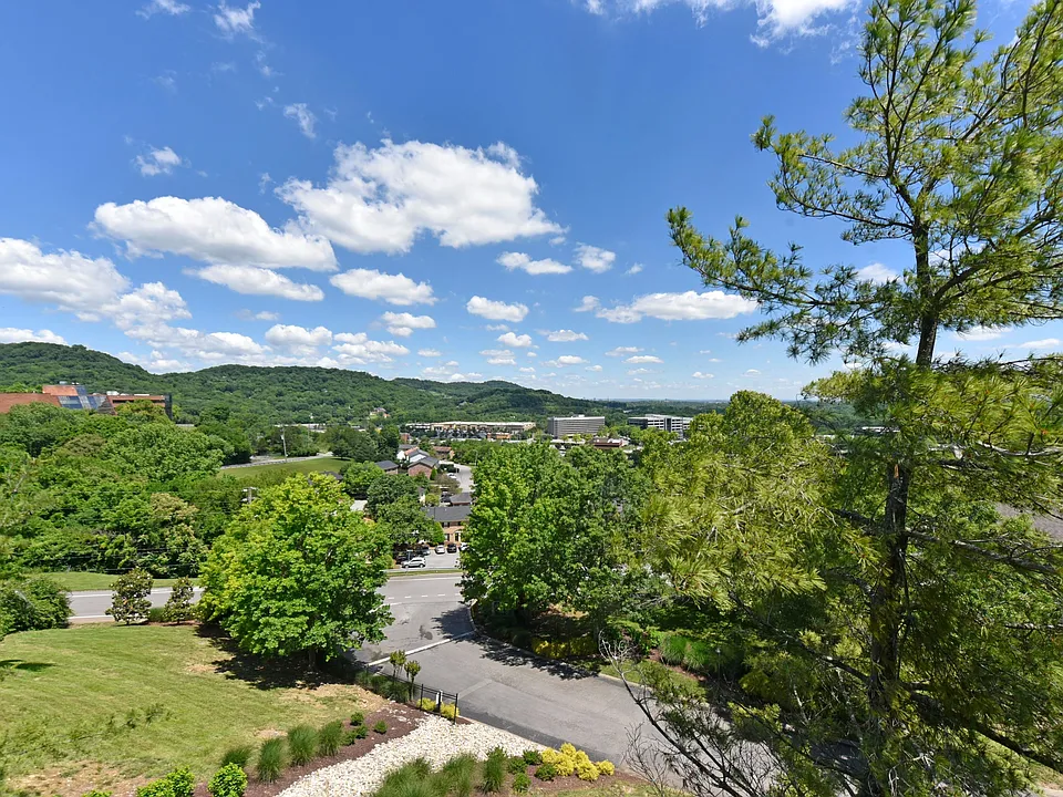 Views of Brentwood
