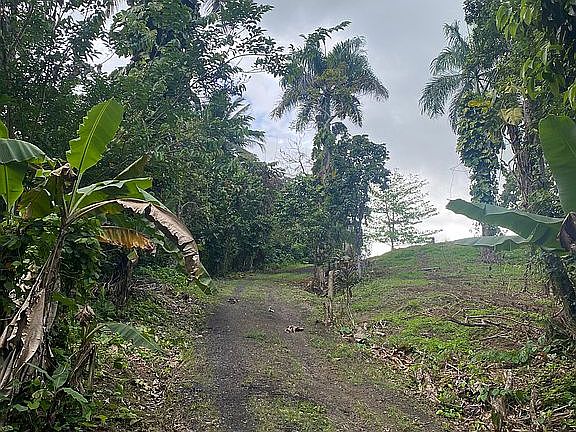 5th image of Haciendas Del Lago Carraizo Carr175 Ca 301 Solar 4