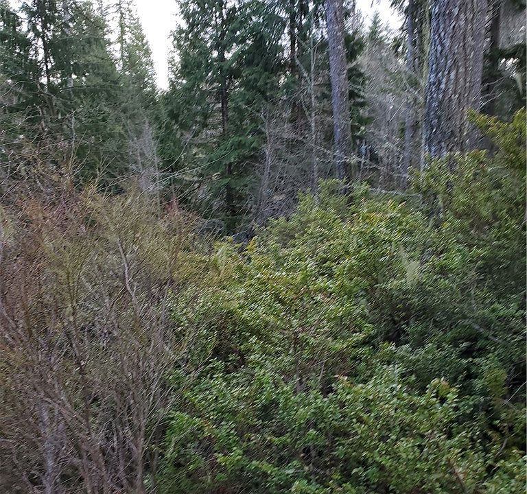 2nd image of 1521 E Trails End Dr